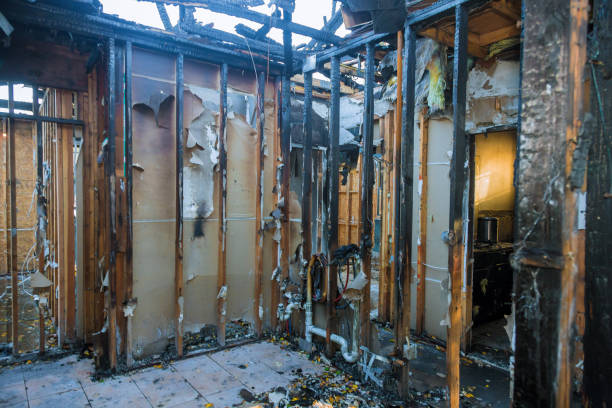 Professional Fire Damage Repair technician working in Camilla, GA